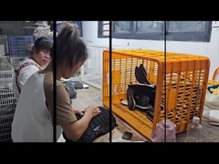 कस्टम जूते सेवा कारखाना